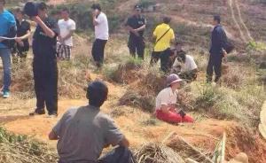 云南回应“村民阻征地被挖掘机轧死”：过失致死，嫌犯被拘