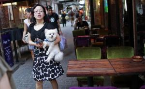 专家呼吁上海城市规划关注情感需求：街道要有欢笑声