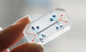 一群医生发明的“芯片上的器官”得到了设计界首肯