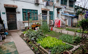 小区居民门前“圈地”种菜：如何既享受城市田园又不侵权