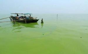 变废为宝！无锡一公司将太湖蓝藻制成藻粉，卖到美国创汇去