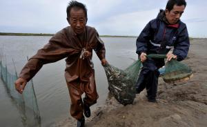天津渔民诉康菲漏油污染案获立案，此前已维权四年