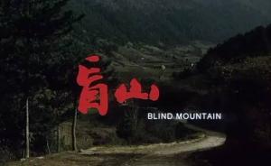 《盲山》：所有人的恶与痛