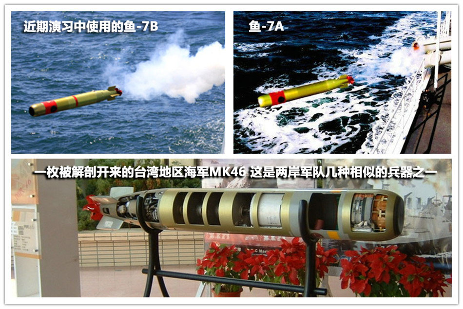鱼12多用途微型鱼雷图片