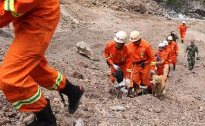 陕西山阳山体滑坡现场发现一处生命迹象，官方确认64人失踪