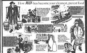 史坛一周︱19世纪伦敦牛奶掺假
