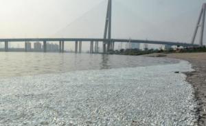 天津市环境监测中心：出现死鱼河段未检出氰化物