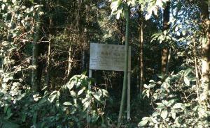 福建两村民偷挖17株红豆杉，法院判罚3000元以补种百株