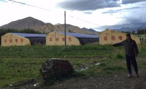 “西藏粮仓”江孜欲转型：借红河谷现代农业示范区做农业强县