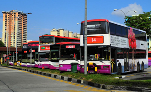 新加坡为何要改革公共交通机制