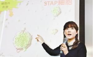 日本“万能细胞”学术造假调查结论公布：其实是胚胎干细胞