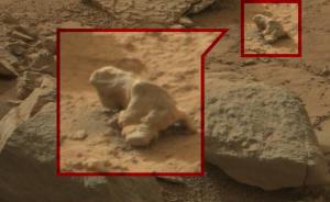 NASA又有重大发现？火星上的这些石头似乎像那么回事