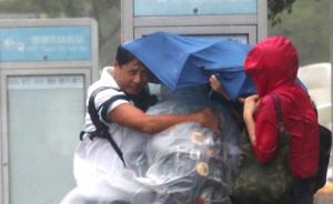 直击|台风“杜鹃”登陆福建拔起大树，台湾街头乘客紧抱站牌