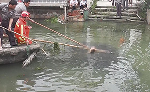 上海又现溺水悲剧：父女争吵后女儿跳河父亲去救，双双溺亡