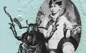 《变形记》出版100周年，卡夫卡不也是那只不幸的甲虫？