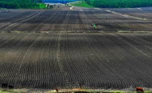水利部：全国年均损失耕地百万亩，东北一些黑土层流失殆尽