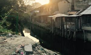 绿色曙光｜垃圾倒河中，上海两区一界河黑臭十年陷治理困局 