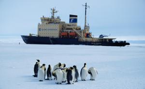 中国赴南极游客七年增加数十倍，国内旅游机构包船欲揽八百人