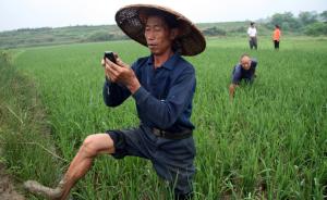 农业部：用3年时间教会农民用手机上网