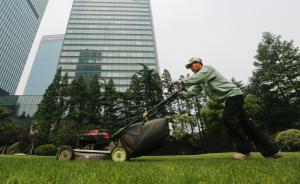 中共上海市绿化和市容管理局党组关于巡视整改情况的通报