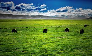 西藏高原生态评估报告发布：气候变化突出特征是变暖变湿