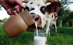 中国乳品行业掀并购浪潮，伊利首次跻身全球十强