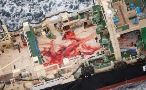 日本以科研为由重启南极捕鲸，遭国际社会指责