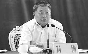 涉巨额受贿、通奸，全国政协经济委员会原副主任杨刚被双开