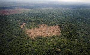 探访亚马孙雨林：在环保与经济发展间纠结，巴西碳排放量回升