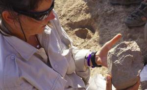近两年重大考古发现有哪些？世界考古论坛在上海给它们发了奖
