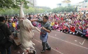 重庆一小学组织学生操场看杀猪，邀请村民讲述年猪习俗