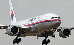马航客机乌俄边境被击落，机上295人全部遇难