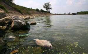 中国水生态堪忧：一些地方有河皆干，一些地方活鱼煮熟是臭的