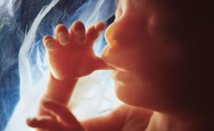 人类基因改造正式开始，英国政府批准编辑人类胚胎 