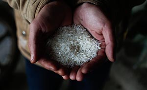 大米砷含量上限0.2毫克每公斤，中国标准首成国际标准