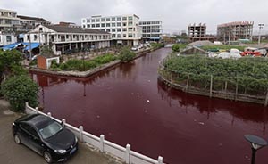 温州一段内河变“血水”，环保部门推断系非法倾倒可溶颜料