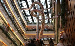 上海一商场内建五层楼高滑梯滑完约需16秒，你敢滑吗？