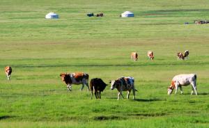 内蒙古设政府环保基金，5年将投50亿撬动千亿投资治理环境
