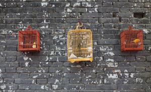 “围墙”往事：中国封闭型社区的兴起与衰落