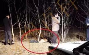 河北涿州司机撞死2人塞后备箱抛尸小树林，警方：正在侦办