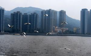 港区全国政协委员：爱香港就是要让香港与国家联系得更加紧密