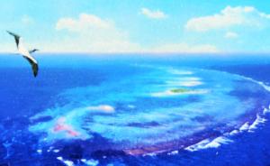 海南三沙市一把手：南海七连屿正建码头，北岛岛礁正在修复