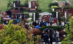 上海已落葬墓穴近161万个，节地生态葬占一成多