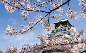 小岛毅：日本人为什么那么爱樱花