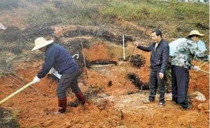 广东一退休干部占320平米林地建活人墓，曝光3年仍未拆完