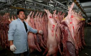 猪周期开始发威：上周全国猪肉零售价上涨35.2%