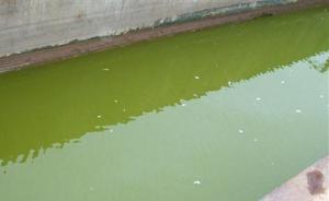 上海一化工厂偷排有毒废水被罚10万元，其负责人获刑