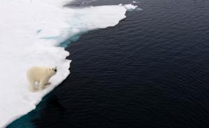 北极冬季海冰历史最少：科学家称太热太异常，或为长期趋势