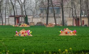 辽宁部分地区耕地遭坟墓攻占：地不足两亩，有50多个坟堆