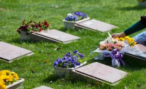 墓穴20年使用期相继到期，如何续费各地或无新政或规定不同